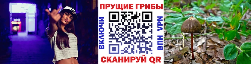 Галлюциногенные грибы Magic Shrooms  Ростов 
